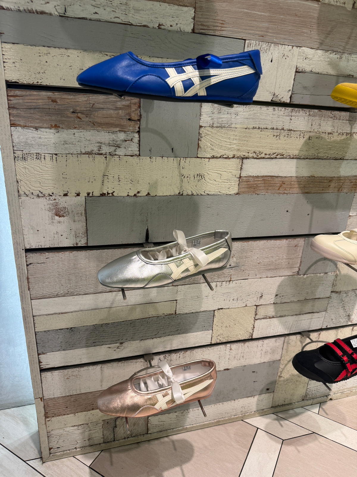 Gymnarina collection starts ₱ 8495